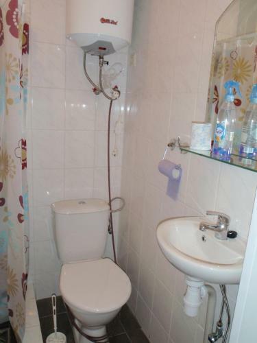 Ozola Street Apartment
