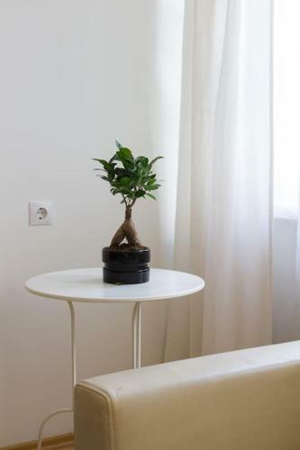 Zilvinas Apartment Didzioji