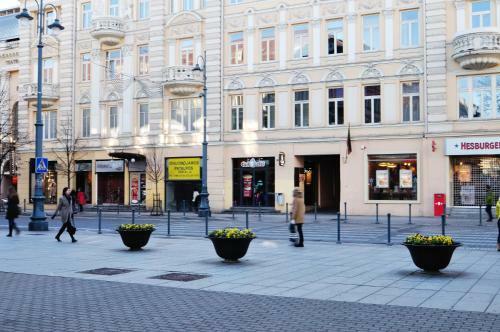 Gedimino Central Apartment