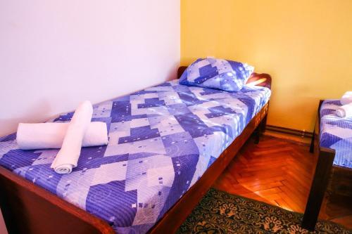 The Comfy Hostel