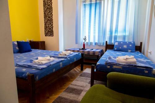 The Comfy Hostel