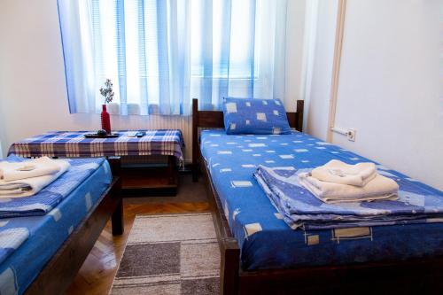 The Comfy Hostel