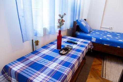 The Comfy Hostel