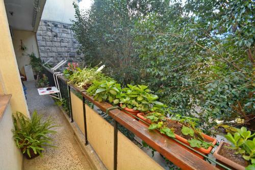 Apartment Nikolic Kotor