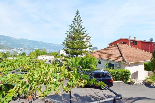 Apartments Marica