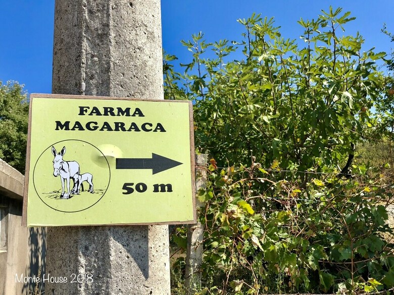 Apartmani Joveti?