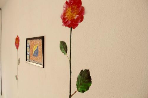 Apartment Taty