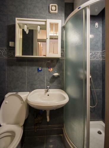Irena Downtown Apartment