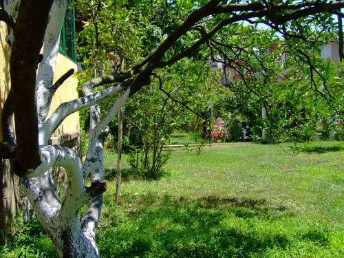 Holiday Home Vesna
