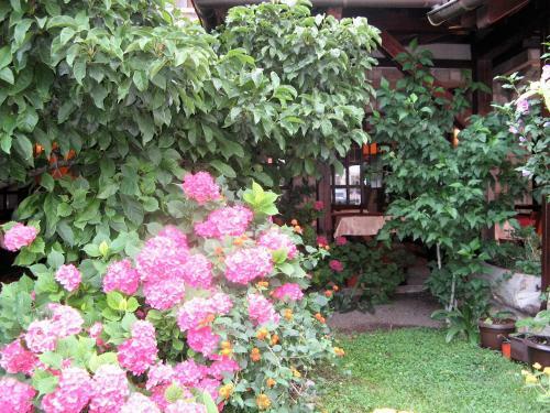 Hostal Guest House Zlatibor