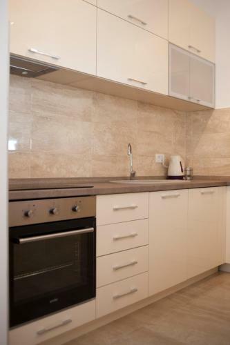 Apartment Mitrovic