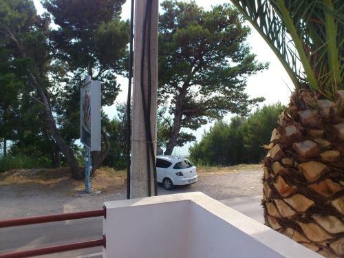 Apartments Djurovic