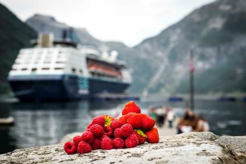 Hotel Geiranger