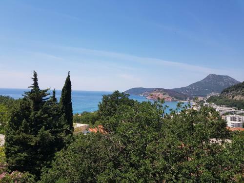 Hostal Guest House Dragomir