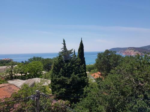 Hostal Guest House Dragomir