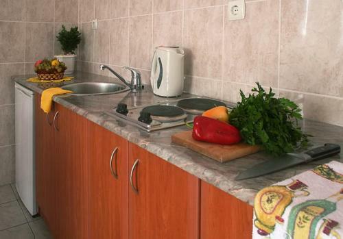 Apartamento Villa Olga