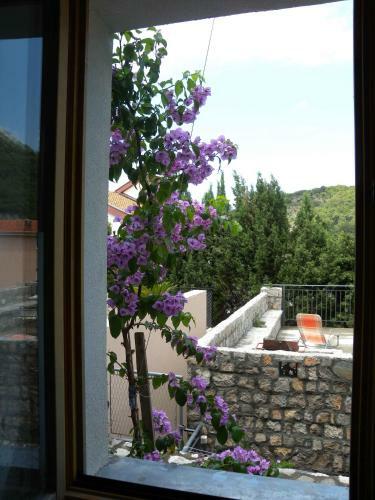 Apartments Markovi? Sutomore