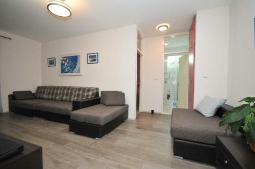 Apartman Srdanovi?