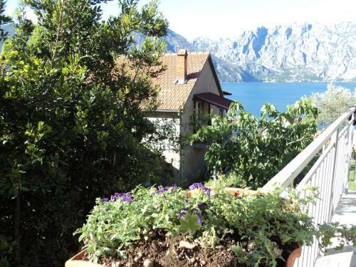 Hostal Guest House Pajovic