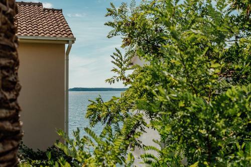 Apartmani Popovi?