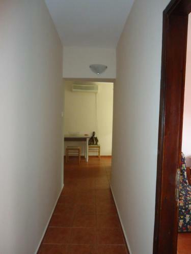 Apartments Ant