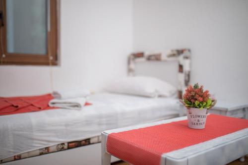 Hostal Guest House Zuber