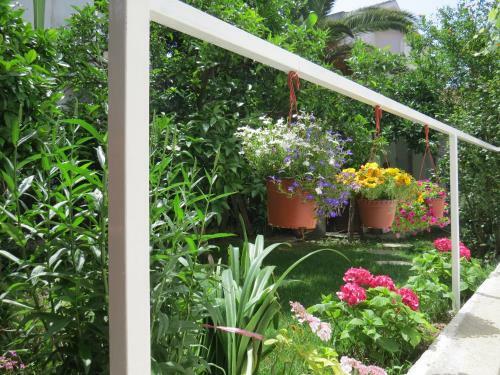 Apartmani Hortenzija