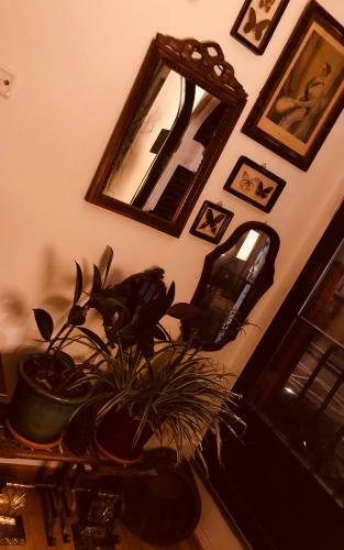 Noel's Bed & Breakfast Amsterdam