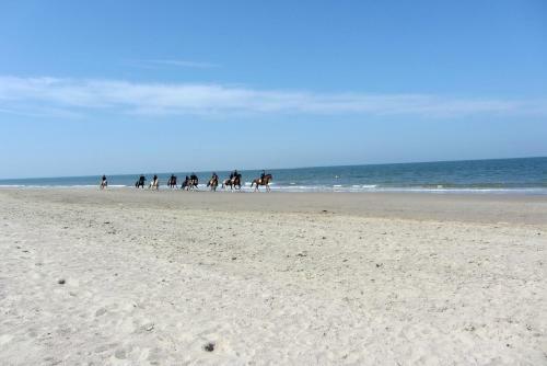 Hotel De Logerij Renesse