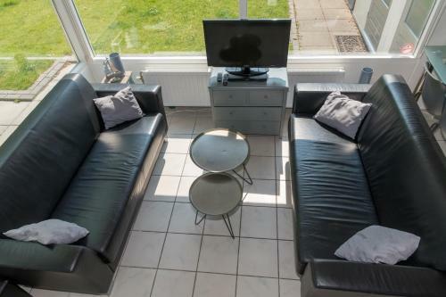 Park Schoneveld: Duinroos 153