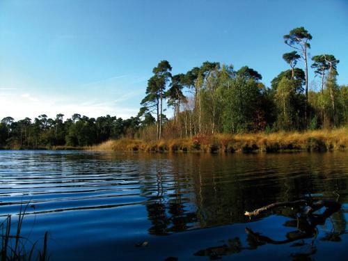 Vakantiepark De Reebok