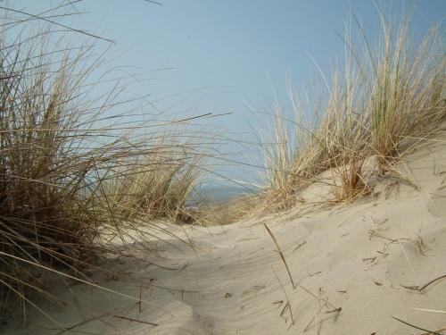 Apartamento Appartement Hollumerstrand