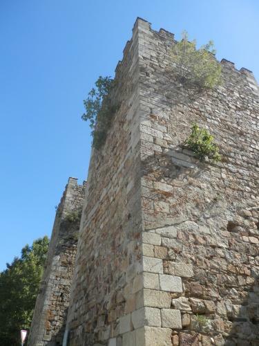 Agroturismo Puial De L Douro