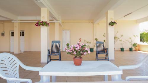 Apartamentos Quinta Da Praia