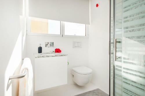 Belem Apartment With Terrace
