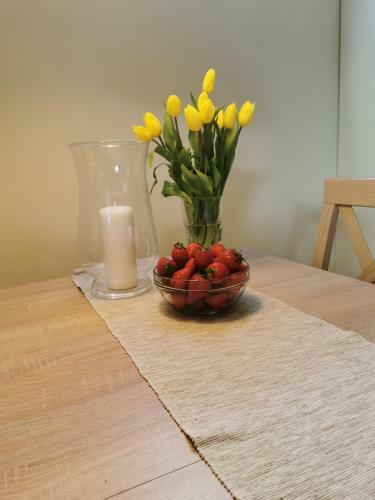 Apartament Z Kogutem