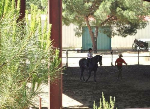 Agroturismo Coruche Cabanas Vp