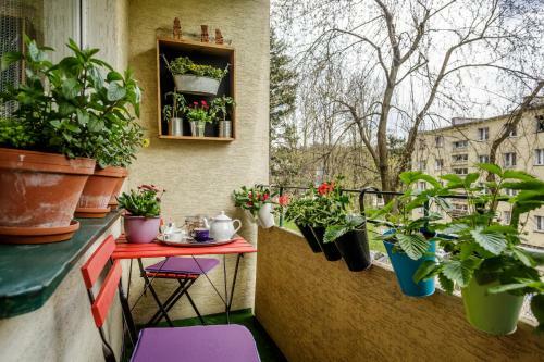 Apartamenty Krupowy Zakopane