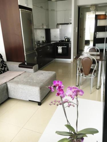 Apartament Antoniukowska 60