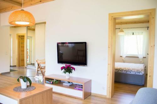 Apartamenty Gosciejow