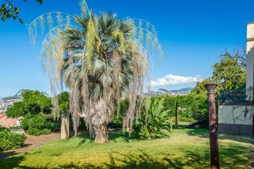 Hostal Villa - Quinta De Santa Luzia