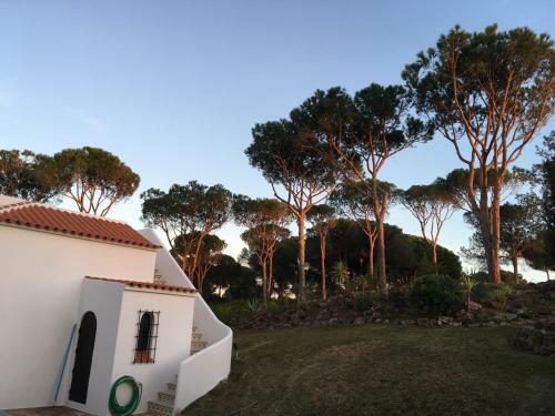 Villa Casa Camelia