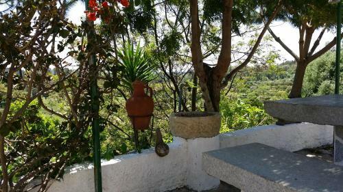 My House - Casa Charme
