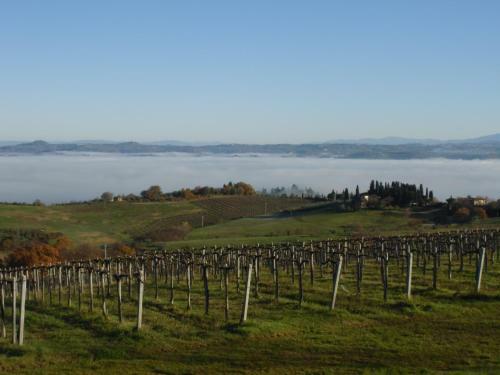 Bed & Breakfast Villa Ducci