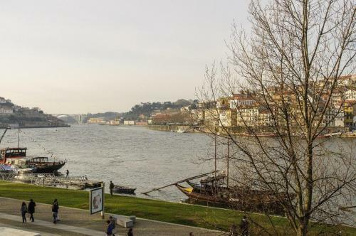 Douro River Apartments