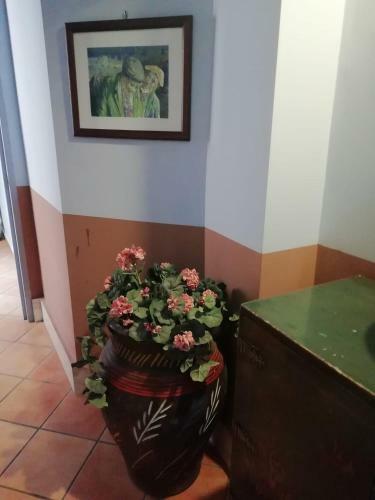 Hotel Plaza
