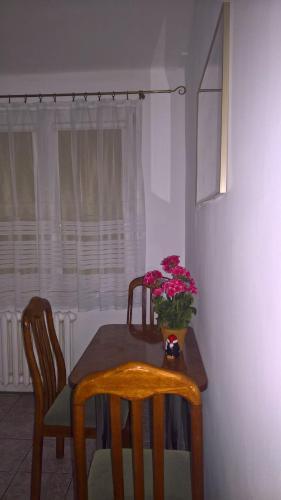 Apartament Konopnicka