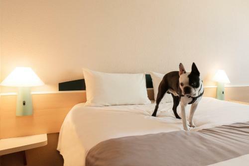 Hotel Ibis ?�d? Centrum