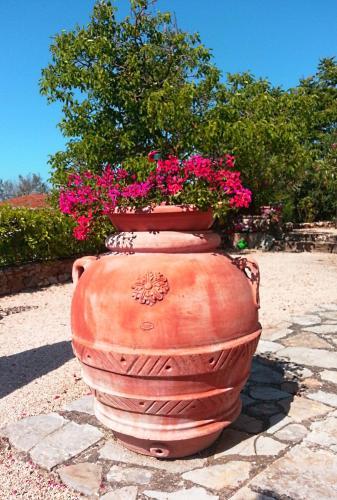 Bed & Breakfast Podere Palazzolo