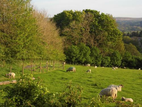 Bed & Breakfast Clerk Laithe Lodge